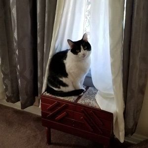 Meet your Posher, Norma